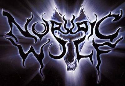 logo Nordic Wolf